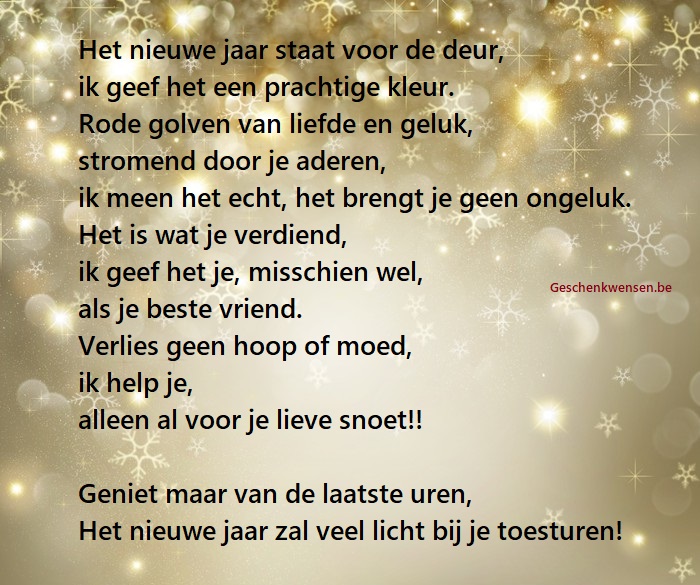 Nieuwjaarsgedichten