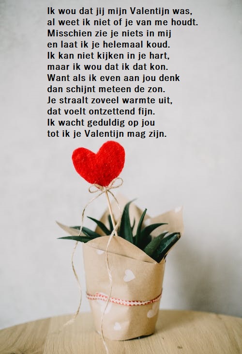 valentijnswensen hartje plant