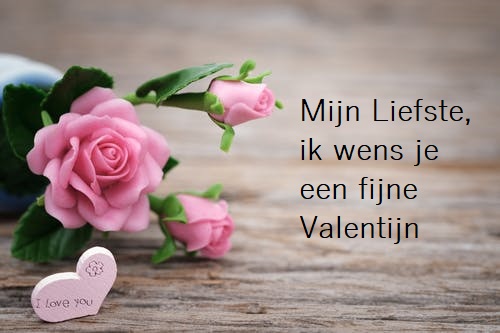 Valentijnsgedichten mijn liefste ik wens je een fijne Valentijn