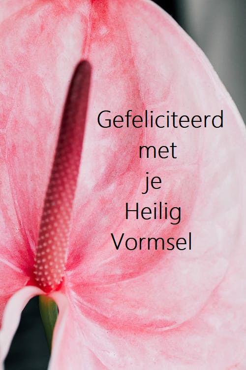 Gefeliciteerd vormsel