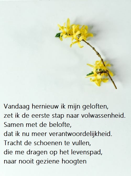 communiewensen gele bloemen