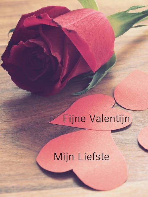 fijne Valentijn mijn liefste