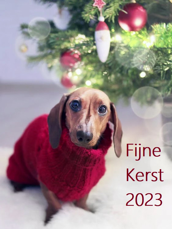 Kerstgedichten 2023